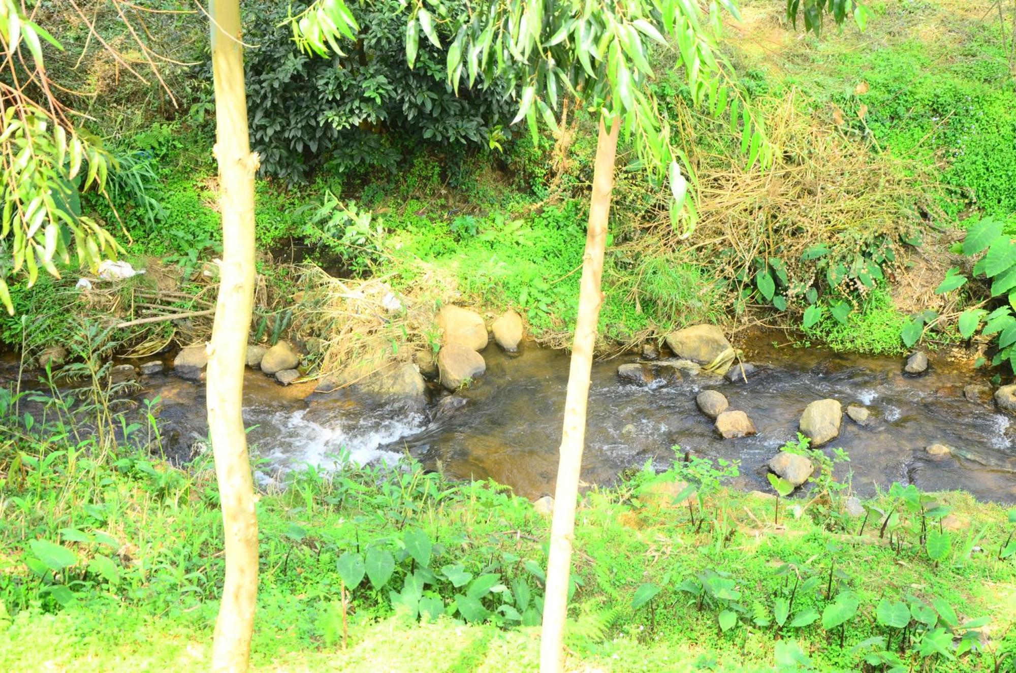 Bohemian Hideaway By Futurve Bed and Breakfast Kodaikanal Exteriör bild